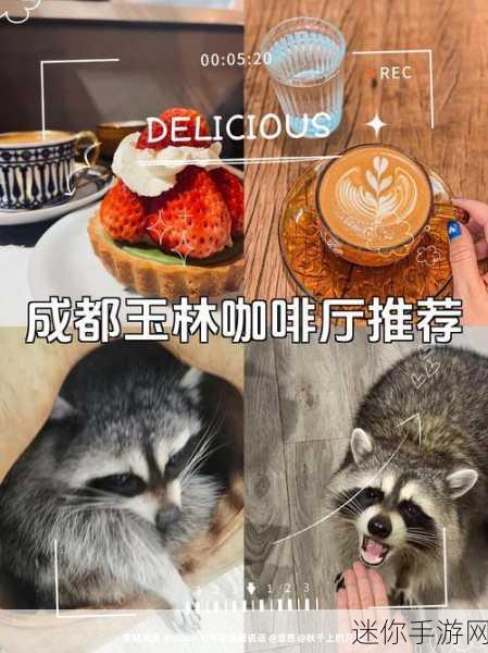 猫语咖啡，萌宠相伴，打造你的梦幻咖啡馆