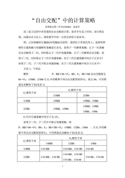 fulao2检测路线1：拓展FULAO2检测路线1的优化与实施策略研究