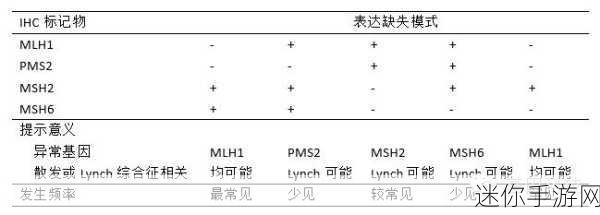 fulao2检测路线1：拓展FULAO2检测路线1的优化与实施策略研究