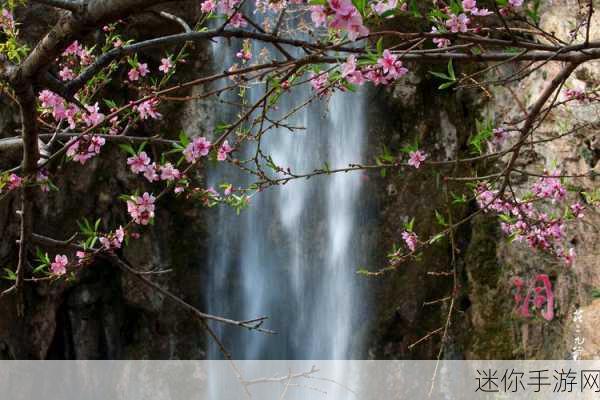 桃花洞口已是溪水潺潺是什么意思：桃花洞口溪水潺潺，春意盎然生机勃发