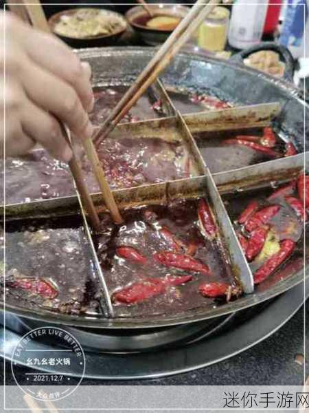 九幺高危风险 安装：九幺高危风险的全面分析与防范措施探讨