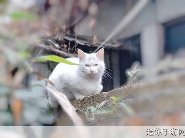 老师的两个大兔子在衬衫里跳来跳去：课堂上，拓展老师的两只大兔子在衬衫里欢快跳跃的趣事