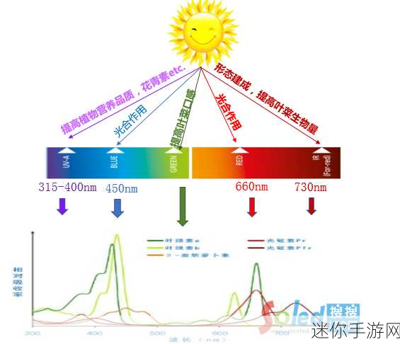 97精产国品一二三产区区别视频：深入解析97精产国品的一二三产业区划及其区别