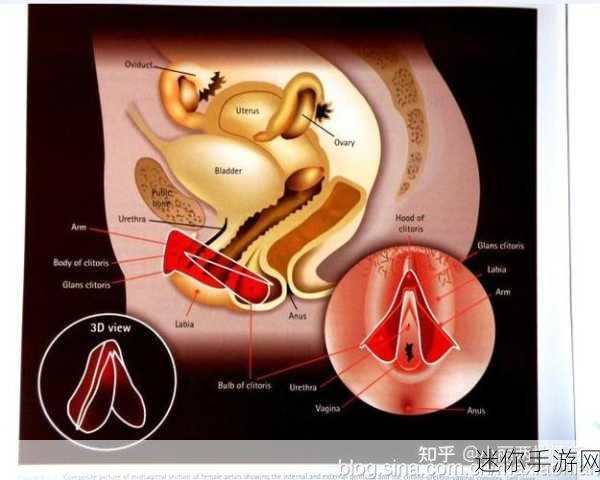 国产破处视频卡二卡一：国产破处视频引发热潮，卡二卡一争议不断！