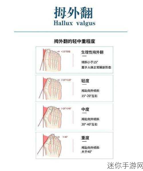 年轻继拇3的机能量发展：探索年轻继拇3的多元化机能与未来发展方向