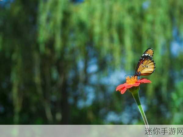 花蝴蝶电视剧资源免费下载：花蝴蝶电视剧资源免费下载平台推荐与指南