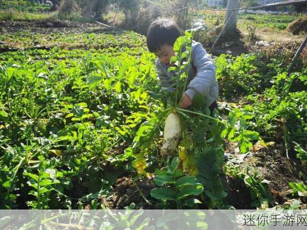 二人世界拔萝卜第一人称免费：在浪漫二人世界中，我与爱侣共同拔萝卜的幸福时光