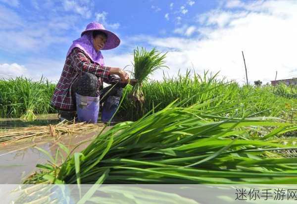 夫妻之间三十中插秧方法：探索夫妻间增进感情的三十种互动方式与技巧