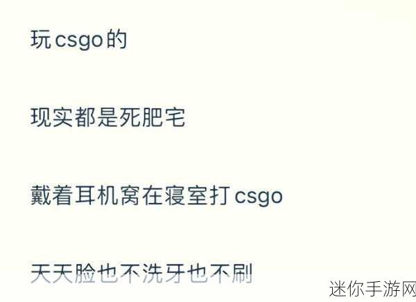 暴躁老阿姨csgo最新消息：暴躁老阿姨CSGO最新动态：新模式与角色解析全解读