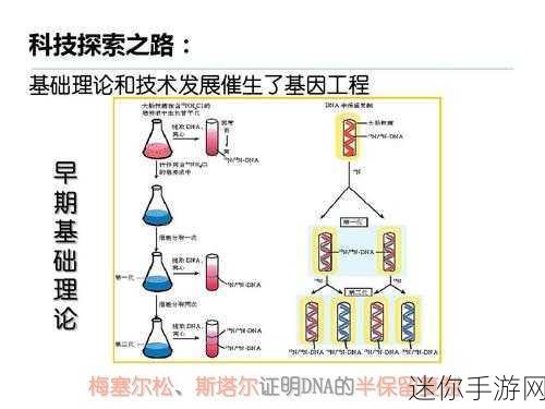 蛛魔几丁质：探索蛛魔几丁质的生物特性与应用潜力分析