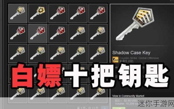 csgo一个箱子一个钥匙多少钱：CSGO游戏中一个箱子配一把钥匙的价格分析