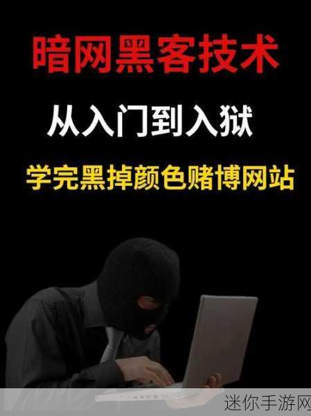 暗网吃瓜黑51：揭秘暗网内幕：黑色51事件背后的惊人真相与故事