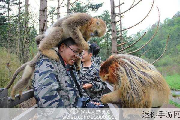 无人区一码二码三码四码区：拓展无人区：探索一码、二码、三码与四码的奥秘与应用