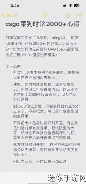 暴躁老阿姨CSGO最新：暴躁老阿姨的反击：CSGO新手攻略与幽默瞬间