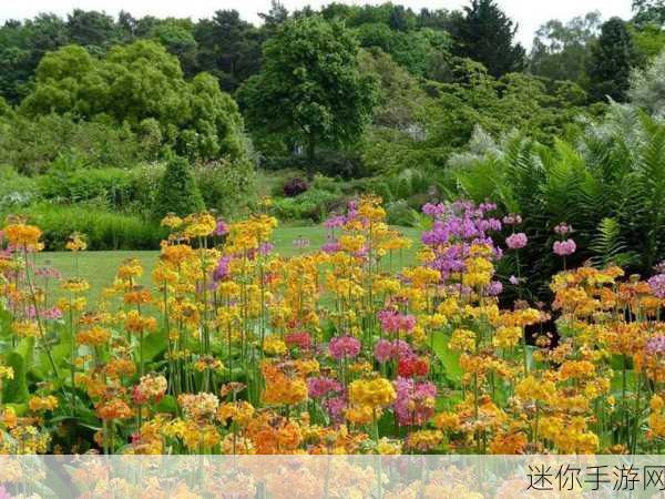 樱花草网：打造美丽花园，从拓展樱花草网开始，让生活绽放色彩！