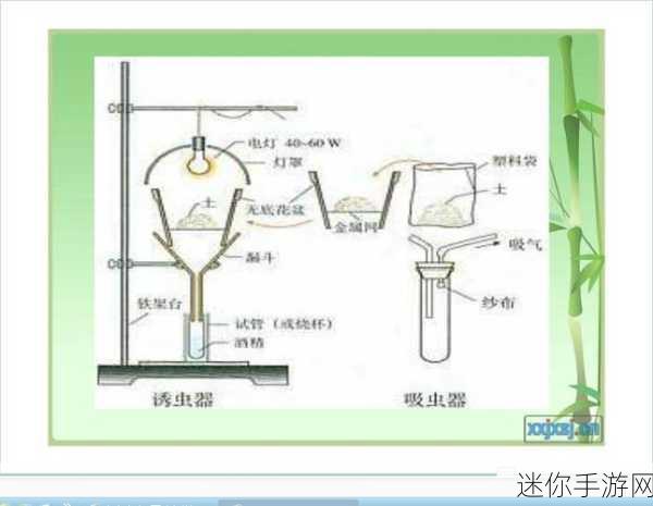 成为虫子的产卵工具：创新设计：拓展成为虫子的高效产卵工具