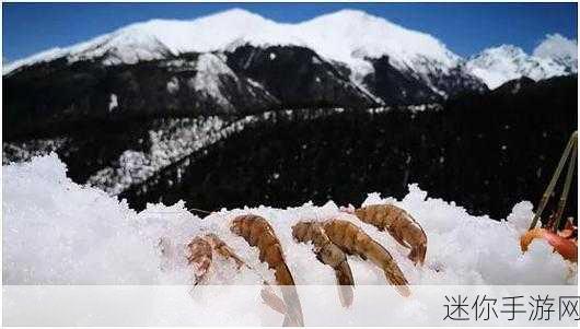 晶晶的极限改造日记 一本江山：一场江山重构的极限改造日记：晶晶的蜕变之路