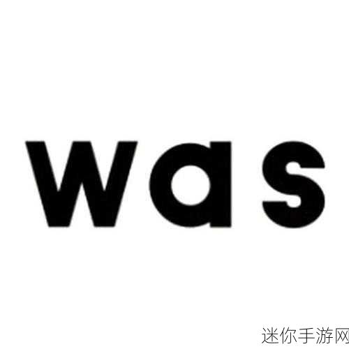 waswas美国入口：拓展Waswas品牌在美国市场的多元化战略与机会分析