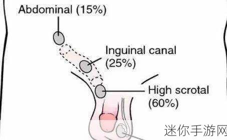 小孩半夜被女孩吃睾丸正常吗：半夜被女孩吃睾丸的小孩是否正常？解析与思考