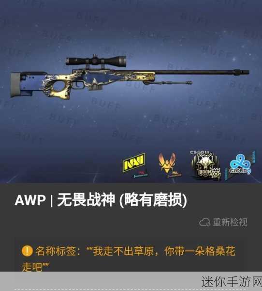 老婆今晚不在家CSGO文案：“老婆今晚不在家，CSGO开黑狂欢夜！”