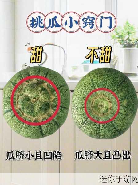 17瓜：探索17种美味瓜果的营养价值与食用方法