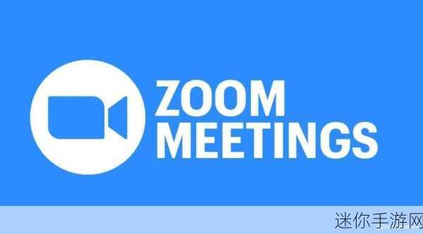 zoomzoom人与zoom：“探索Zoom平台与用户之间的互动与创新”