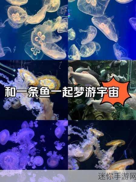 人鳗：深海奇迹：探索人鳗的神秘世界与生态价值