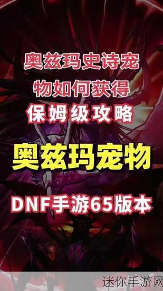 DNF 心悦充值特权宠物大揭秘，谁是你的最佳伙伴？