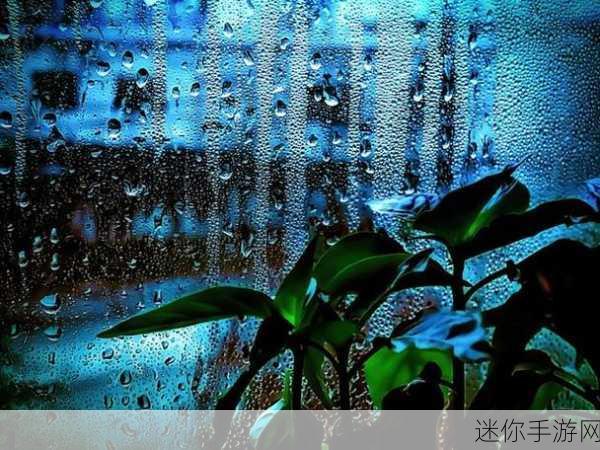 从后面抱着你站在窗前看雨的图片：在窗前静默观雨，感受温暖依偎的心灵时刻