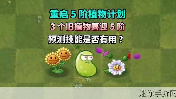 植物大战僵尸2全植物五阶解锁，2024最新战略塔防挑战！