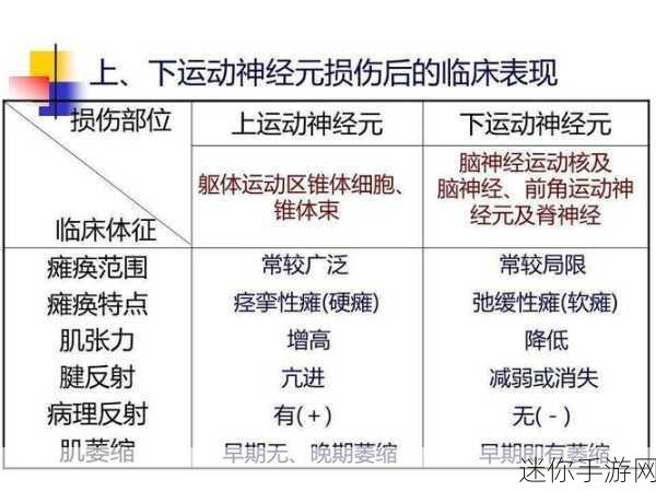 中文字幕日产中枢：探索新视野：全面解读中枢神经系统的最新研究进展