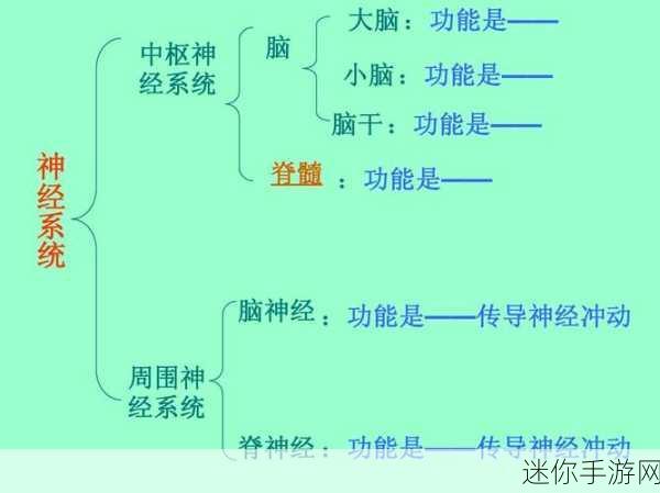 中文字幕日产中枢：探索新视野：全面解读中枢神经系统的最新研究进展