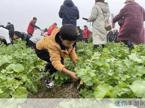 二人世界拔萝卜第一人称的软件下载：拓展二人世界：拔萝卜冒险之旅第一人称体验下载