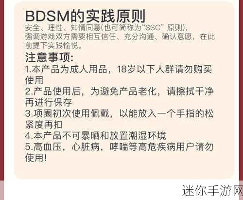 金牌惩戒师SP实验教程：全面解析金牌惩戒师SP实验教程与实战技巧