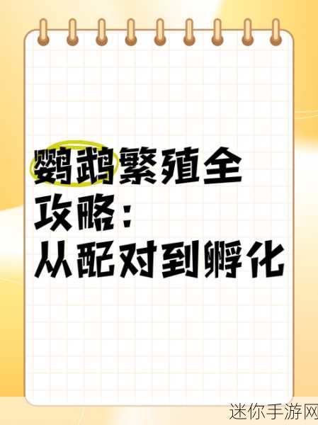 掌握鹦鹉的奇妙世界，驯服与繁殖全攻略