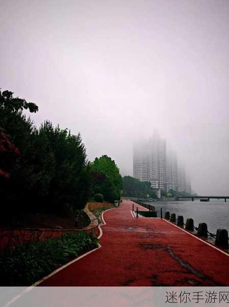 今天晚上你弄了几个小雨伞：今晚我准备了好几个小雨伞，迎接突如其来的细雨。