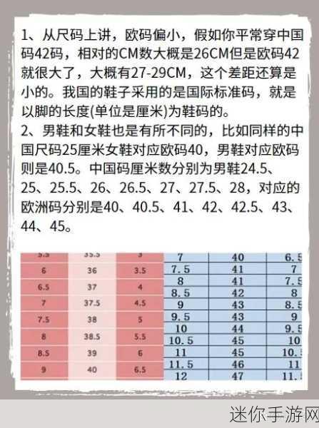 欧亚尺码专线欧洲b1b2：深入解析欧亚尺码专线：欧洲B1与B2的区别与选择指南