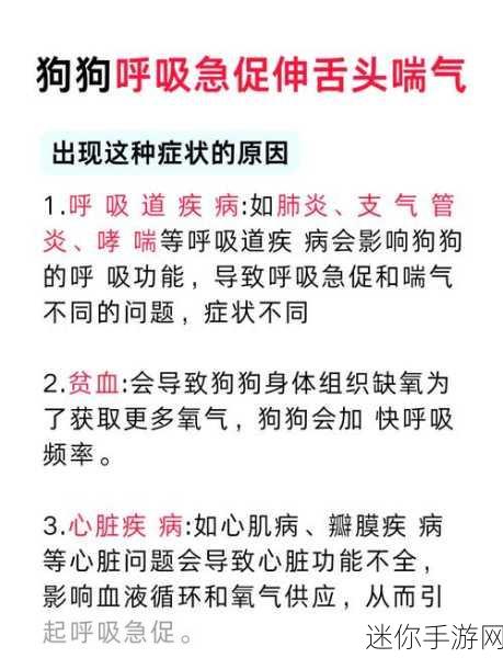 一边伸舌头一边快速喘气文字：在狂热的舞动中伸舌喘息，释放内心激情与活力