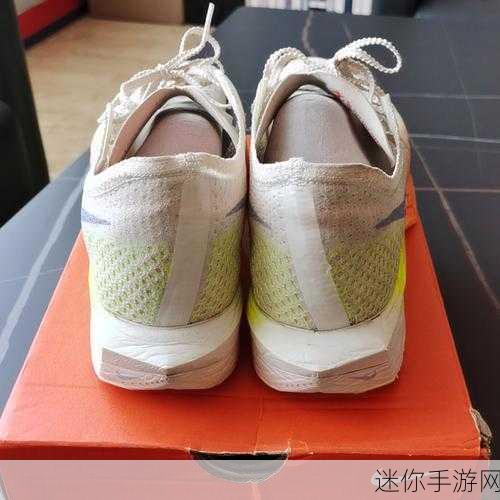 Nike Zoom Vaporfly Elite：全面解析Nike Zoom Vaporfly Elite的创新科技与比赛表现