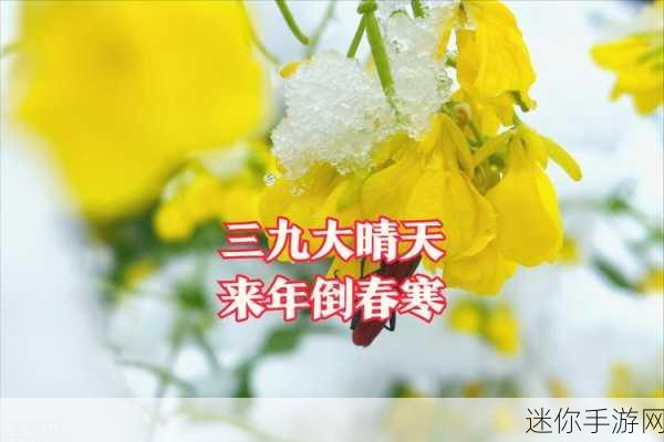 人狗胶配方大全免费天气预报：全面解析人狗胶配方及免费天气预报指南