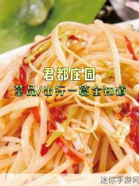 51cg今日必吃：“今日必吃推荐：探索51cg的美食新天地！”