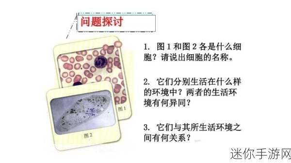 双Hpo1v2：探索双Hpo1v2在生物技术中的应用与前景分析