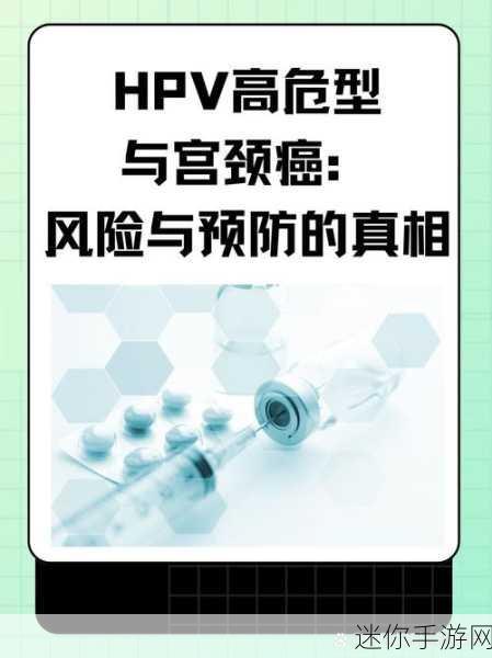 九幺高危风险老版本：九幺高危风险老版本全面升级为新标准操作指南