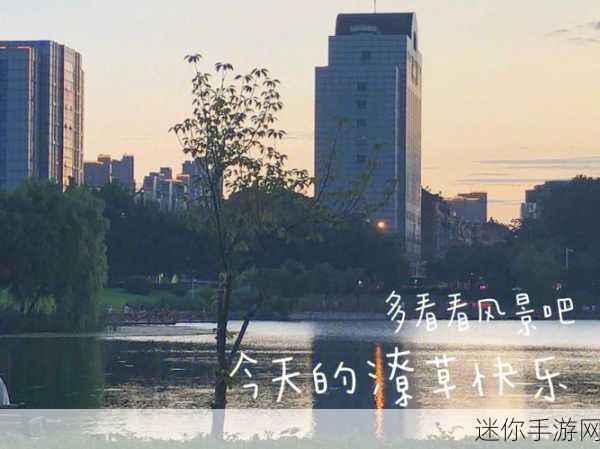 精乐影视：精乐影视：探索无尽创意与视听盛宴的艺术之旅