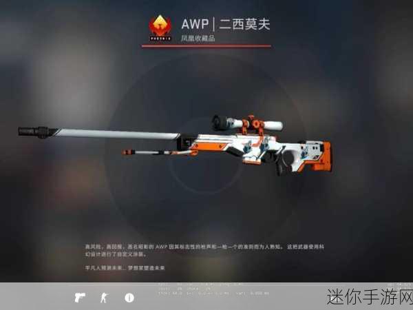 日本csgo大姐姐awp多少钱：日本CSGO大姐姐AWP价格揭秘，震撼你的购物欲望！