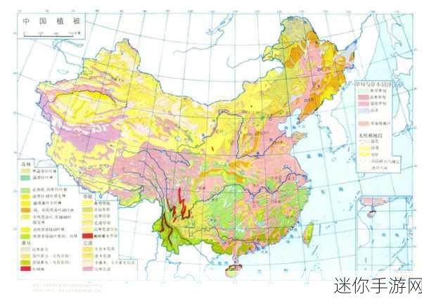 国产123地区五马分：国产123地区五马的多样化发展与市场前景分析