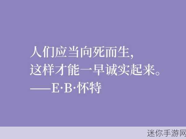 80e：探索80e的魅力：如何在生活中巧妙运用这一概念