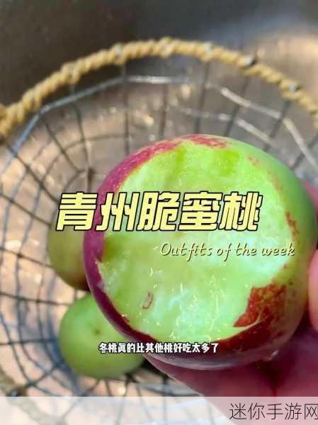 skinfood蜜桃：“探索SKINFOOD蜜桃系列，体验肌肤如桃般娇嫩的秘密”