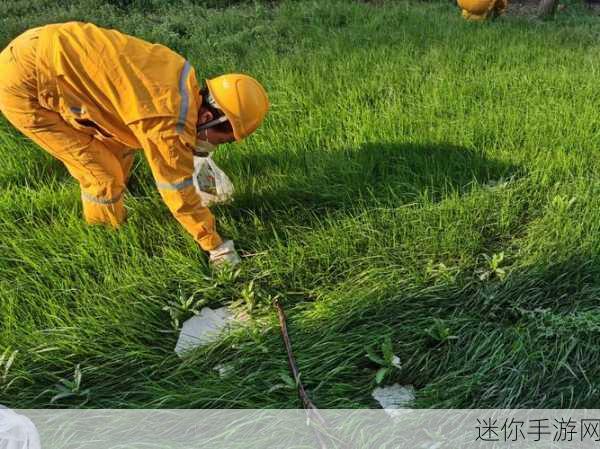 回到地球捡垃圾最新版来袭，打造你的绿色经营帝国