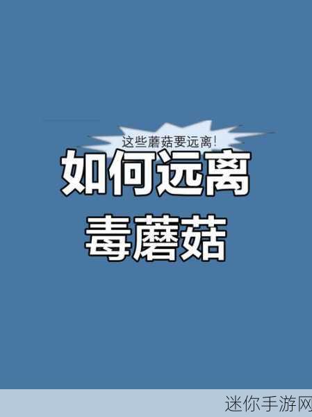 黑料不打烊蘑菇访问安全：拓展黑料不打烊：蘑菇访问安全新策略探讨